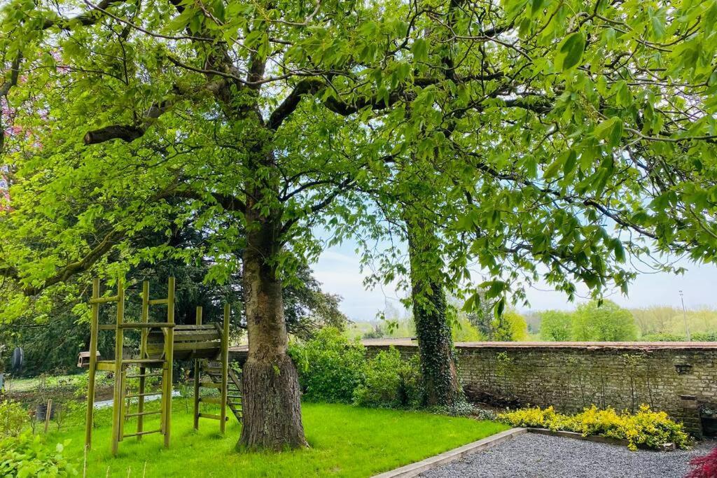 Cosy House In A Charming Village Beauvechain Extérieur photo